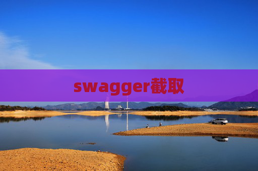 swagger截取
